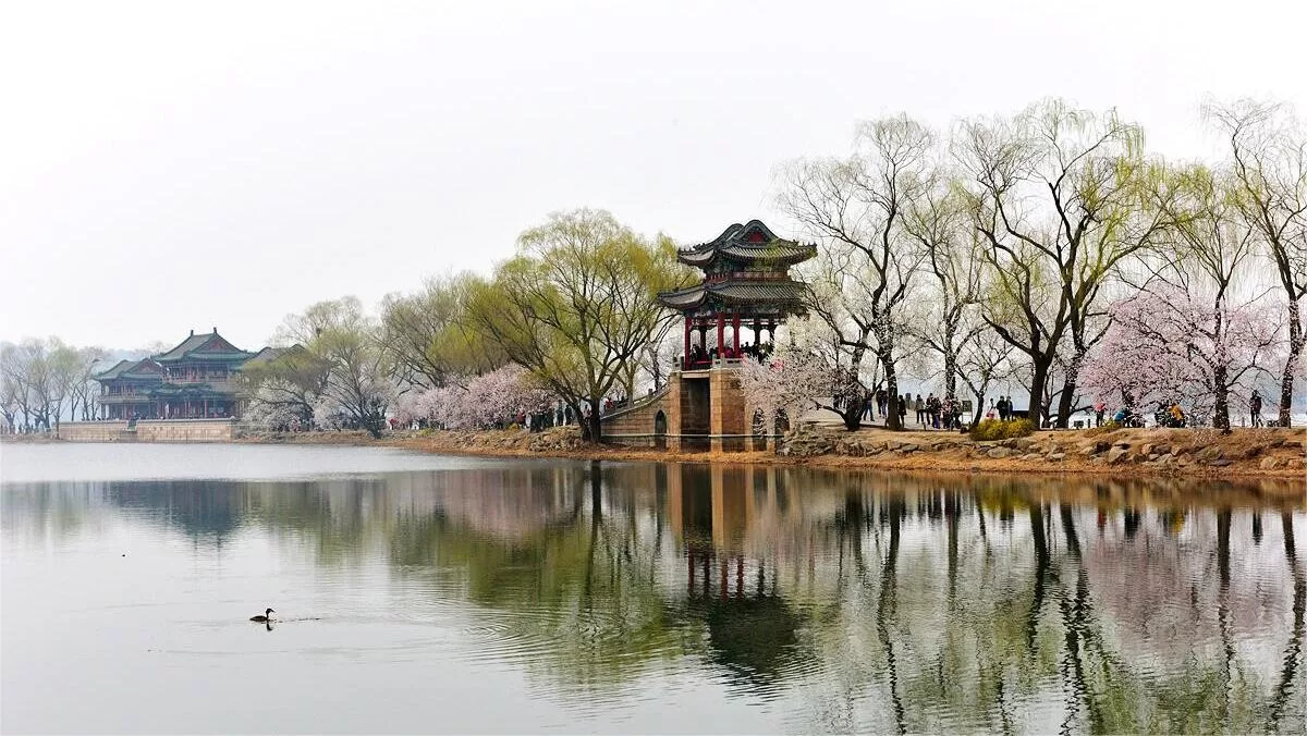 difference between summer palace and forbidden city