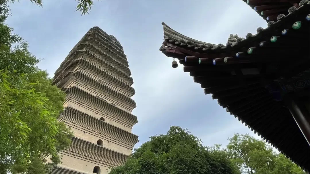 the difference between giant and small wild goose pagodas
