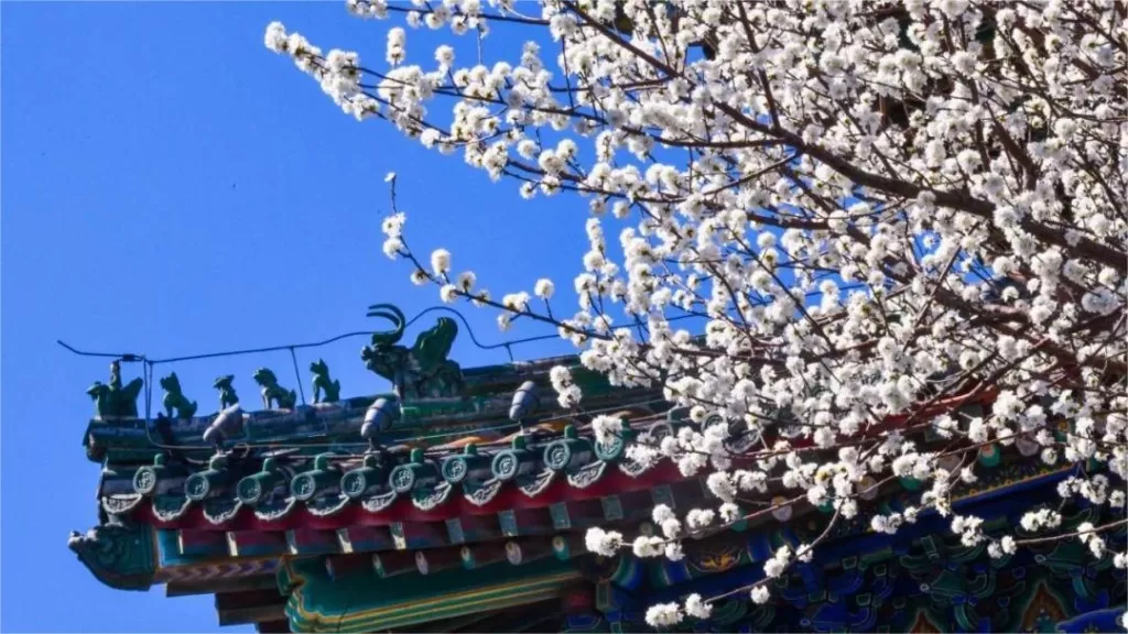 7 interesting facts about jingshan park