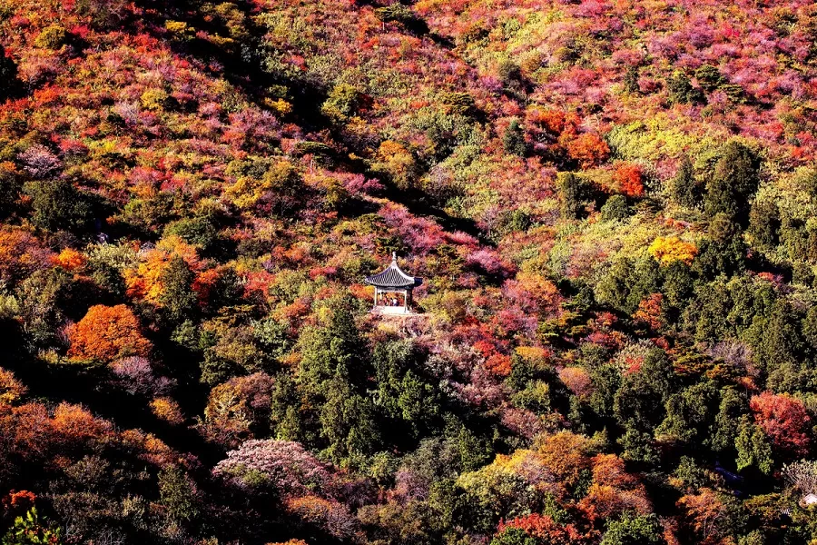 Xiangshan Park, Beijing – Ticket, Opening Hours, Highlights, and Tips ...