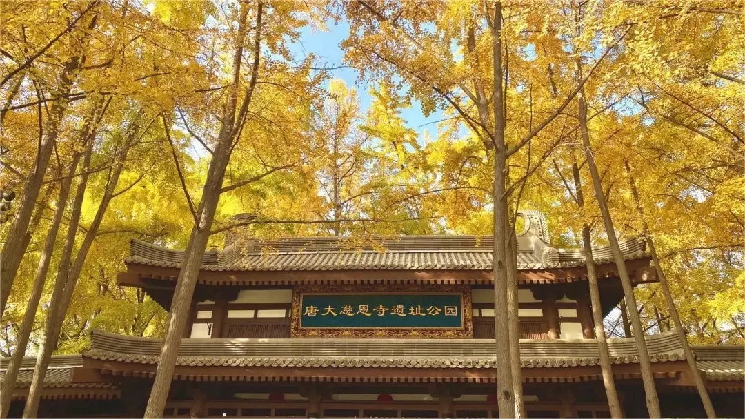 5 facts about Daci'en Temple in Xi'an