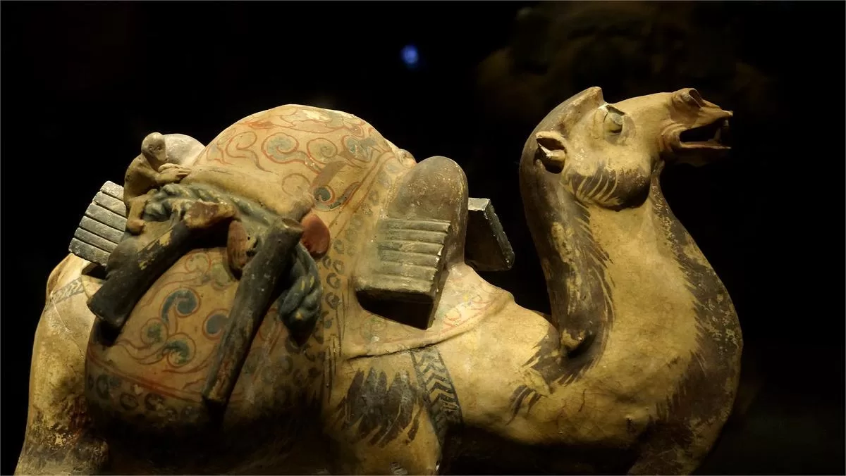 6-facts-about-shaanxi-history-museum-chinatripedia