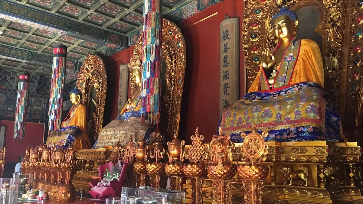 7 Things to Do in Yonghe Lama Temple