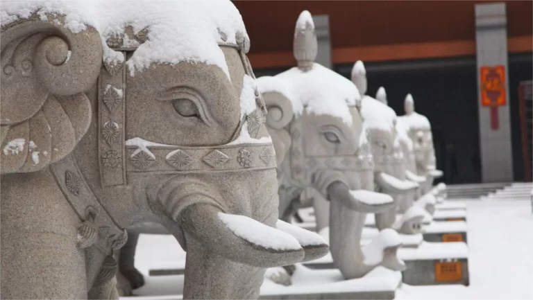 7 facts about Famen Temple, Xi'an