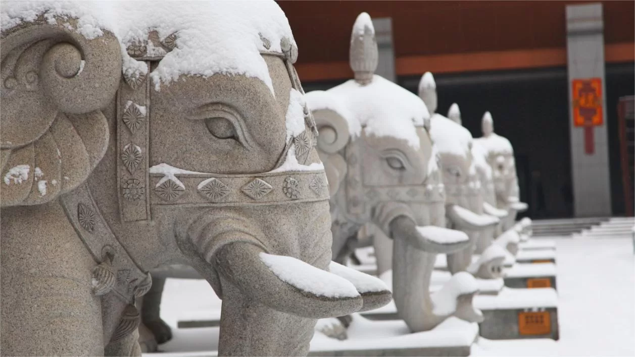 7 facts about Famen Temple, Xi'an