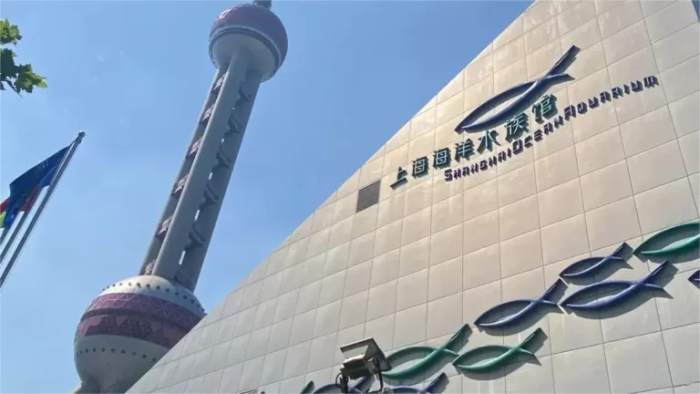 shanghai ocean aquarium