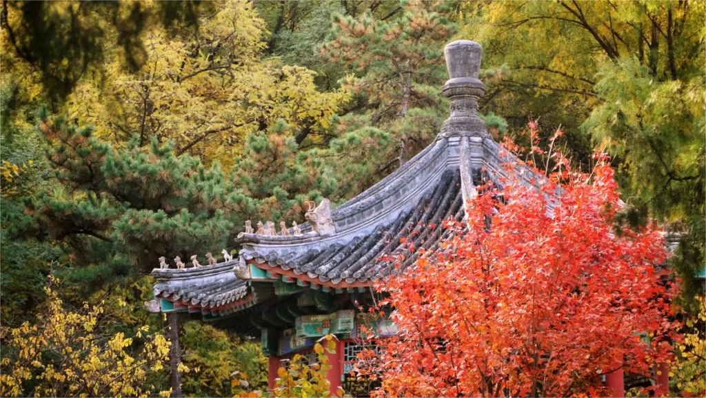 Beijing Botanical garden or Fragnant Hill - Which one is better