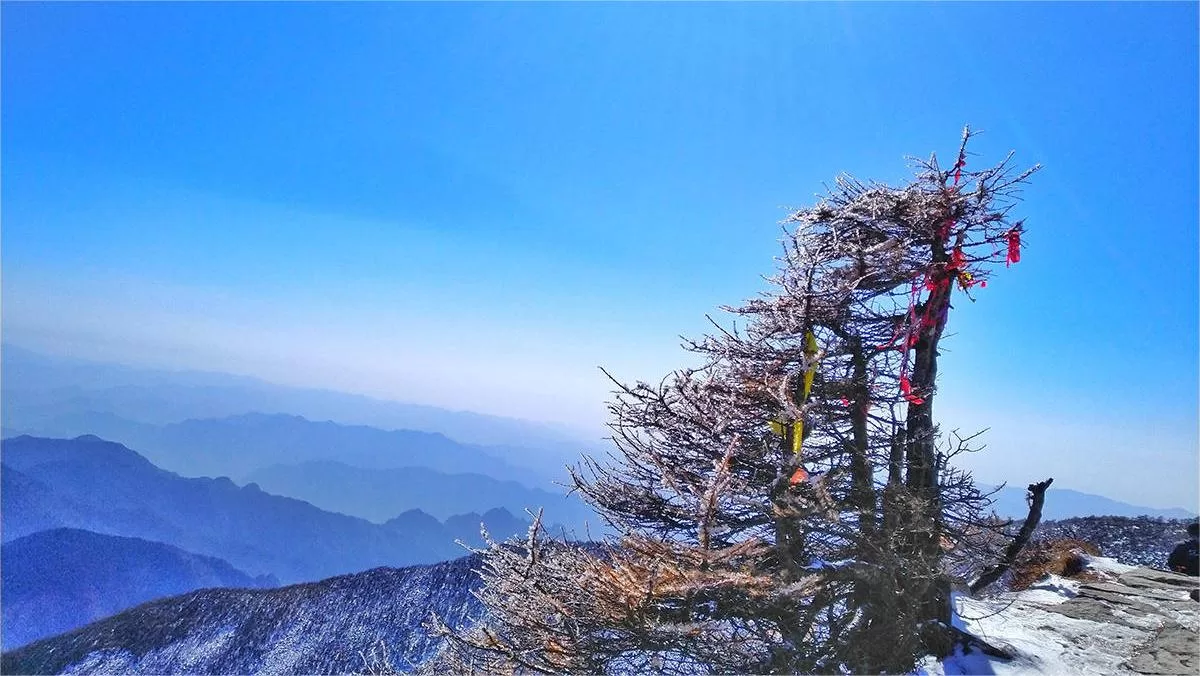 The Climate In Qingling Mountains Chinatripedia   The Climate In Qingling Mountains Jpeg.webp