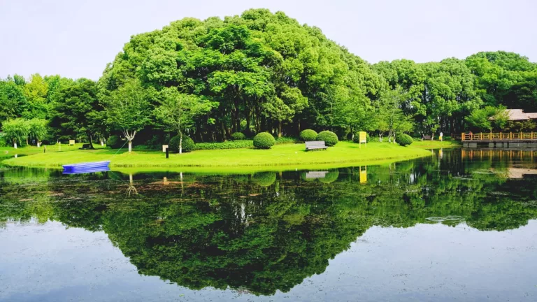 century park shanghai