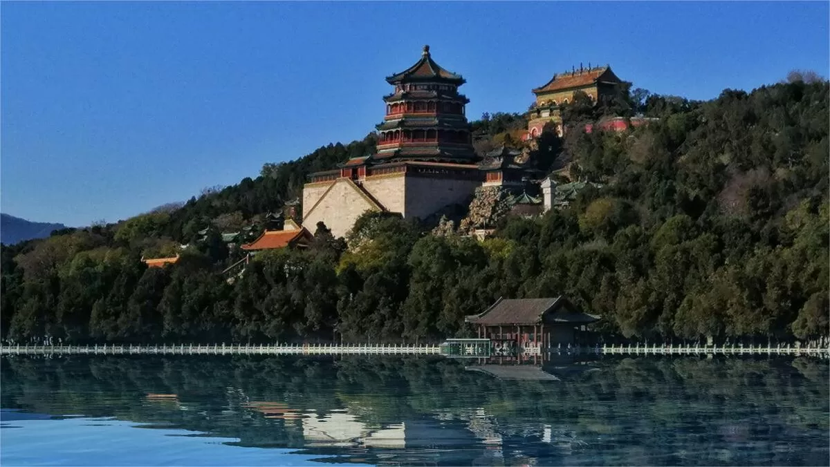 longevity hill