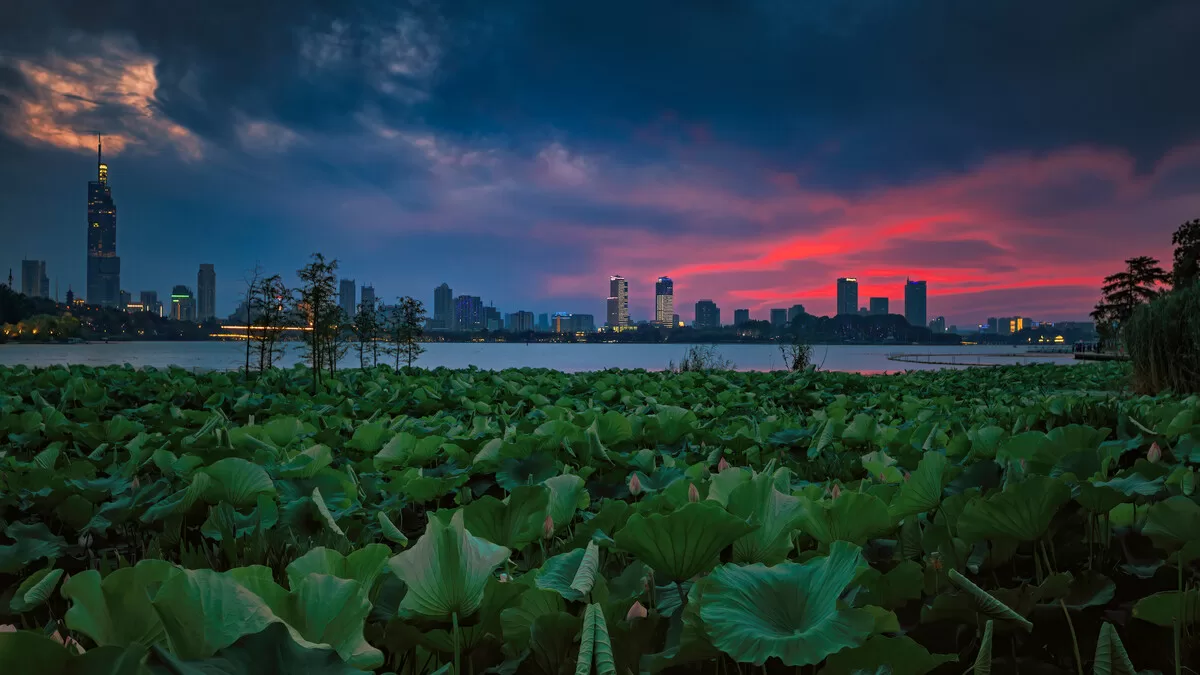 xuanwu lake park