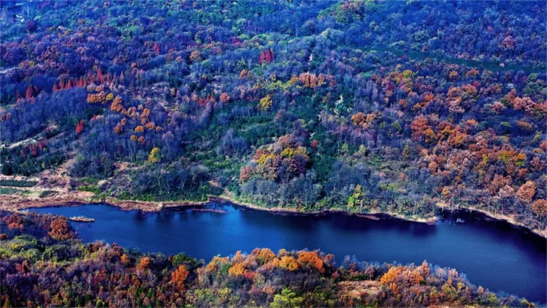 nanjing laoshan national forest park