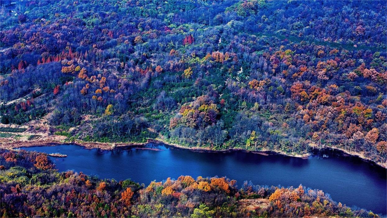 nanjing laoshan national forest park