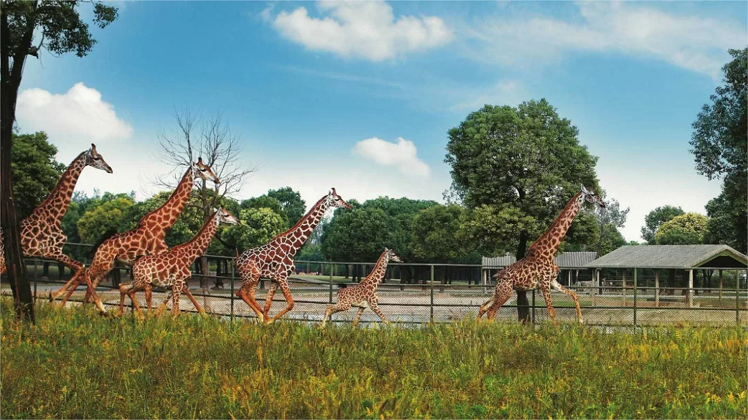 qinhuangdao safari park