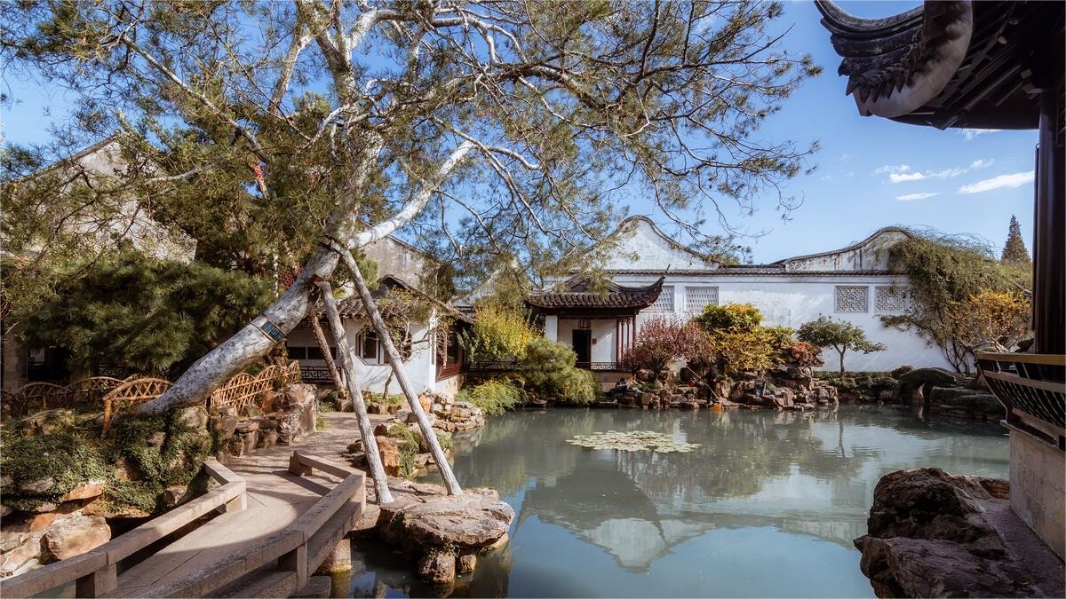 The Master of the Nets Garden