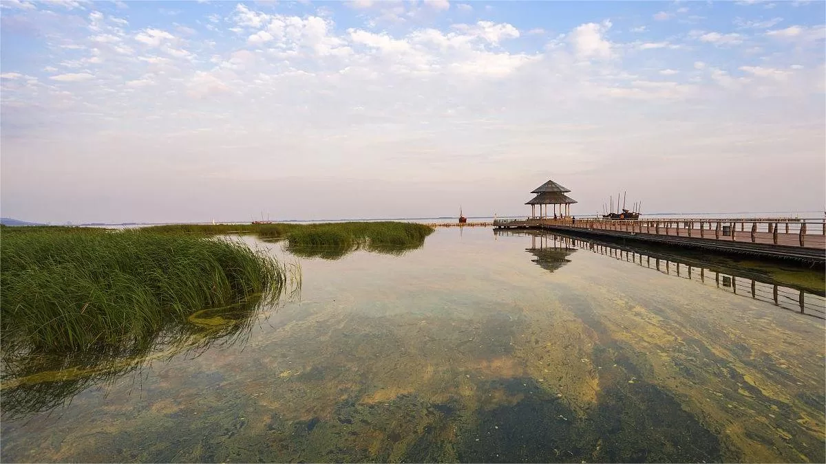 taihu wetland park