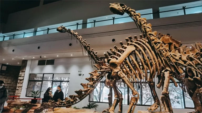 zigong dinosaur museum