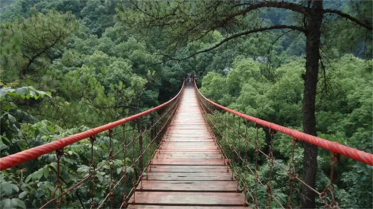 geleshan national forest park