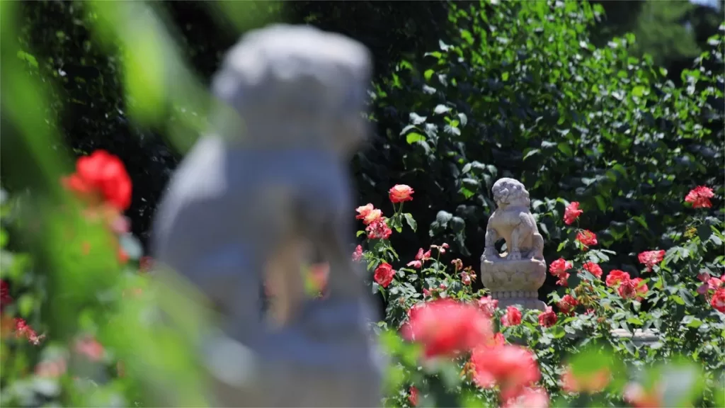 Beijing Weather in June