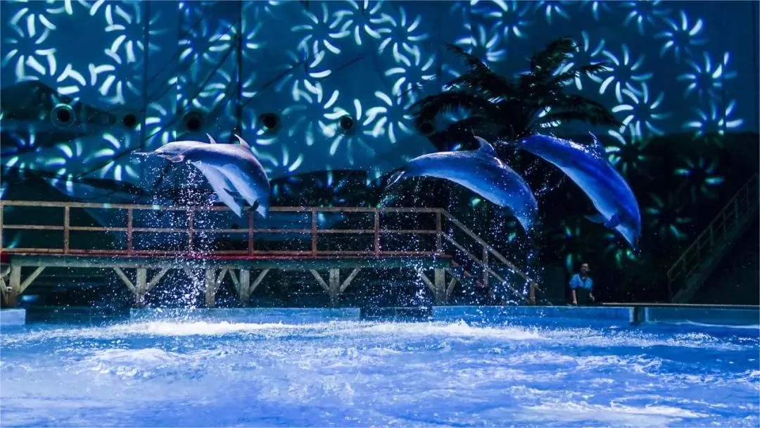 Wuhan Haichang Polar Ocean Park