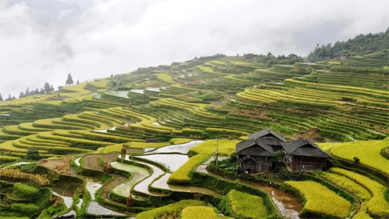 jiabang rice terraces