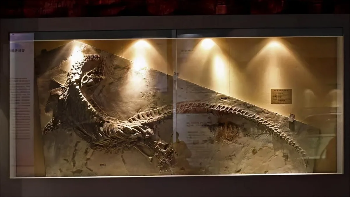 Guanling Fossil National Geopark