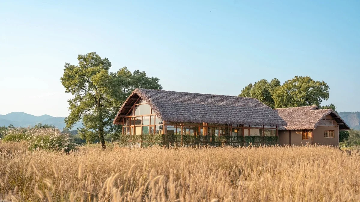 liangzhu archaeological ruins park