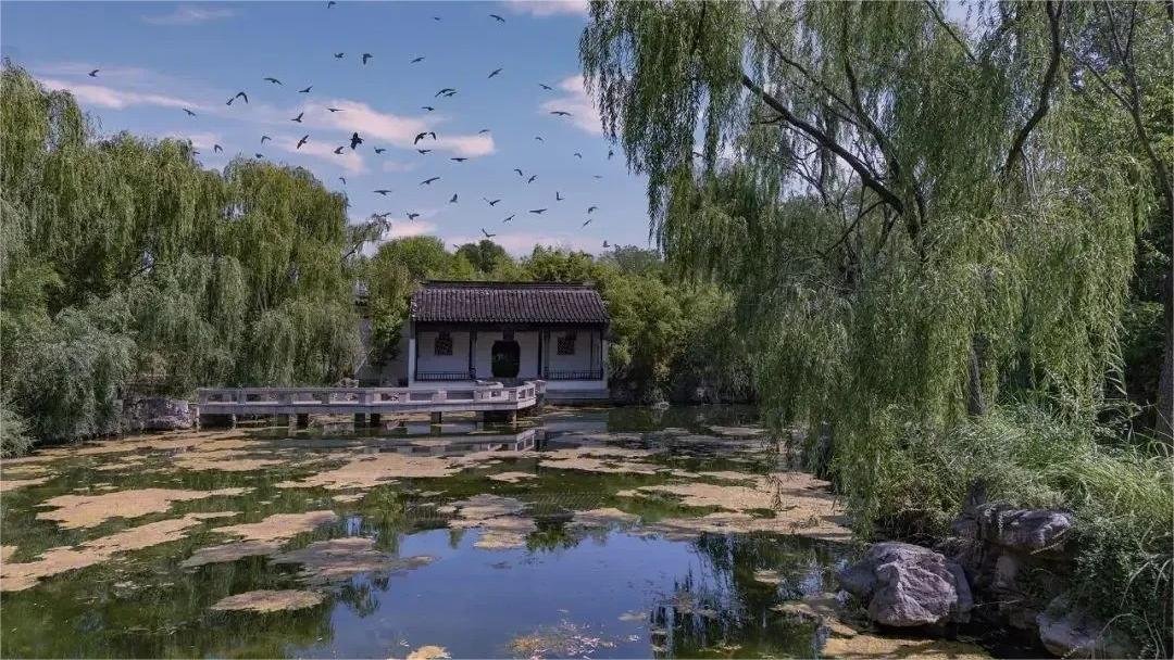 yanming lake, zhongmu