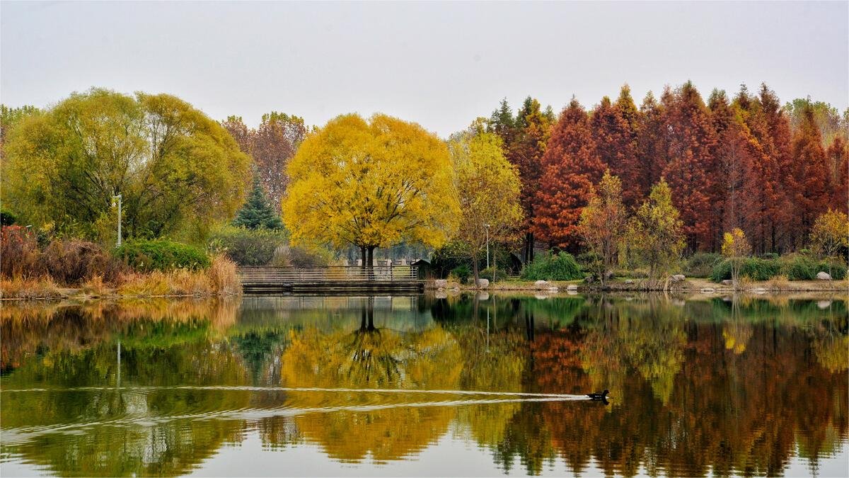 zhengzhou botanical garden
