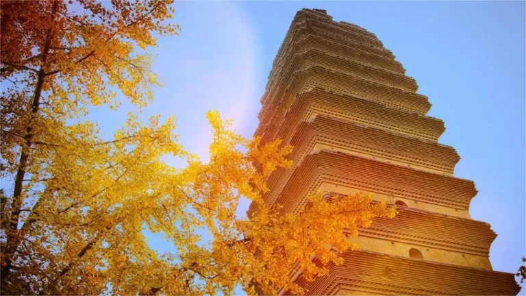 6 Famous pagodas in Xi'an