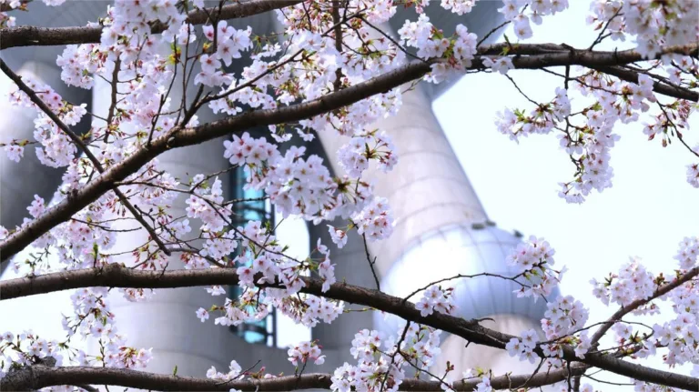 What is the climate like in Shanghai