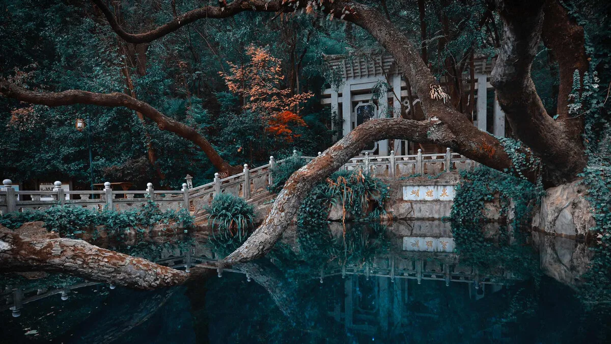 butterfly spring dali