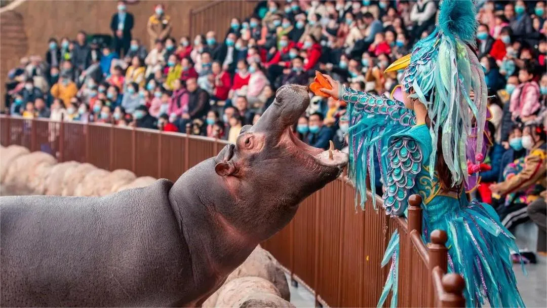 enjoyland animal kingdom zhengzhou