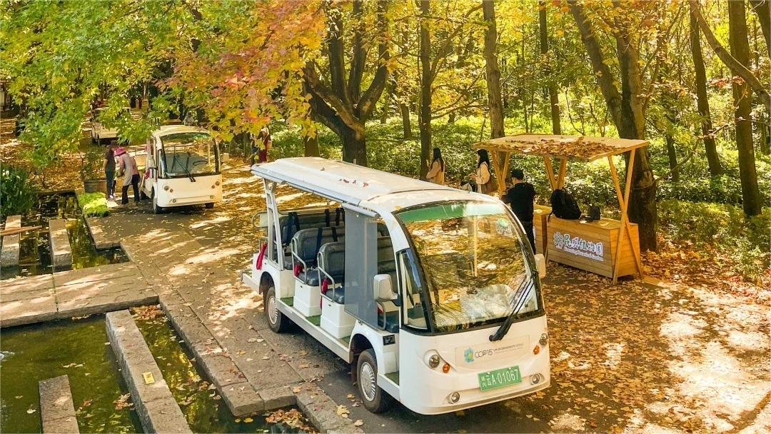 kunming botanical garden