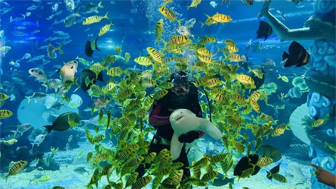 longmen aquarium luoyang