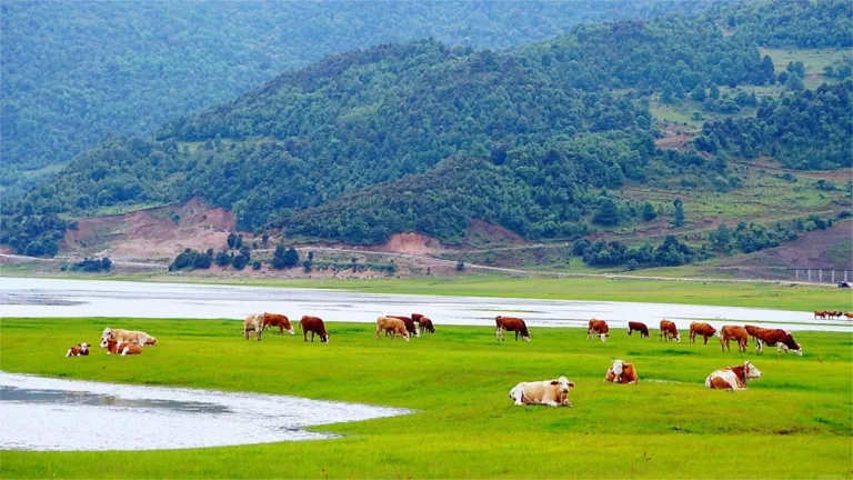 wenhai lake, lijiang