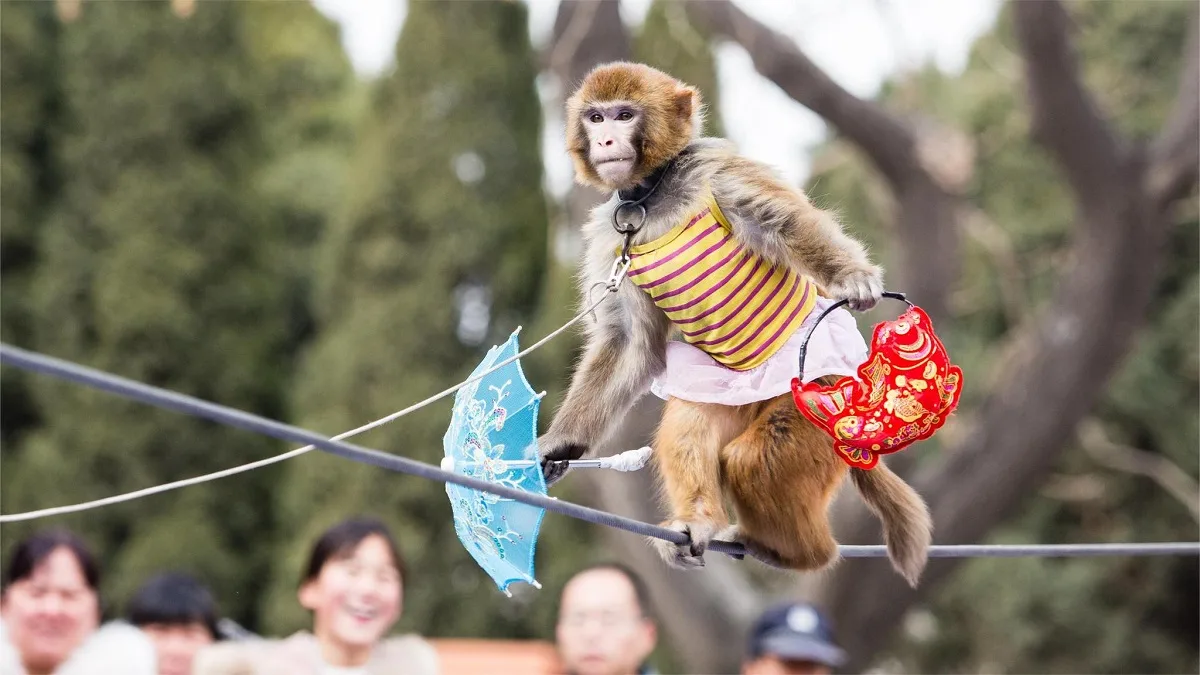bianjing park, kaifeng