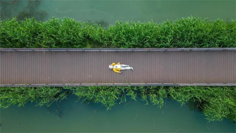 xiazhu lake national wetland park