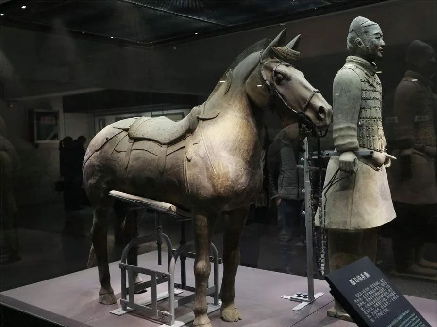 Saddled Horses In Terracotta Warriors