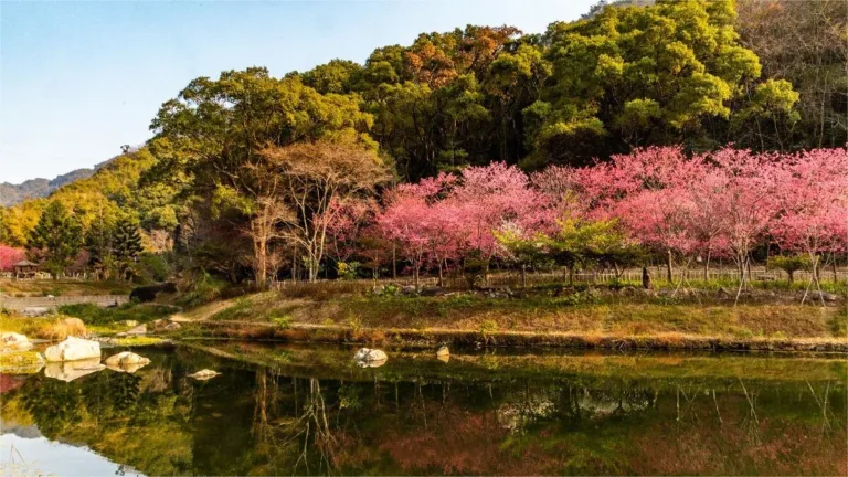 Fuzhou National Forest Park