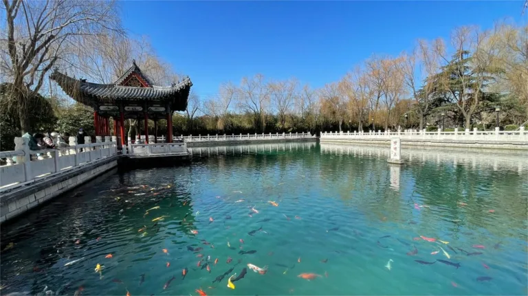 Pearl Spring Jinan