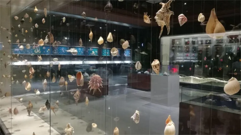 Qingdao Shell Museum