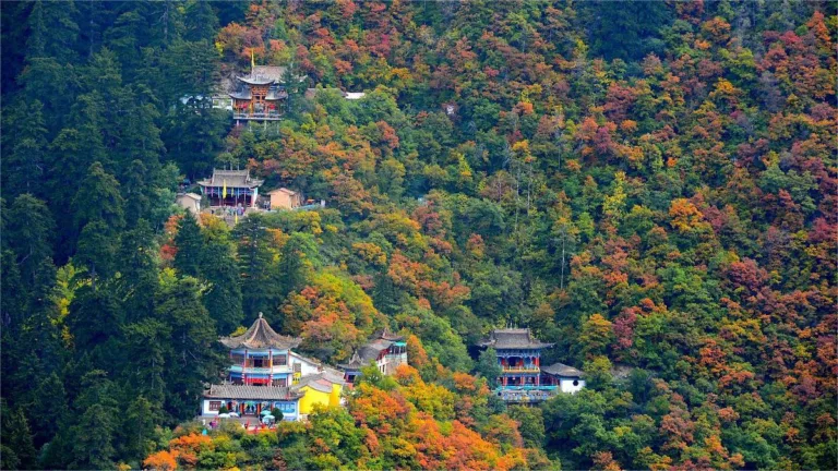 Xinglong Mountain Yuzhong