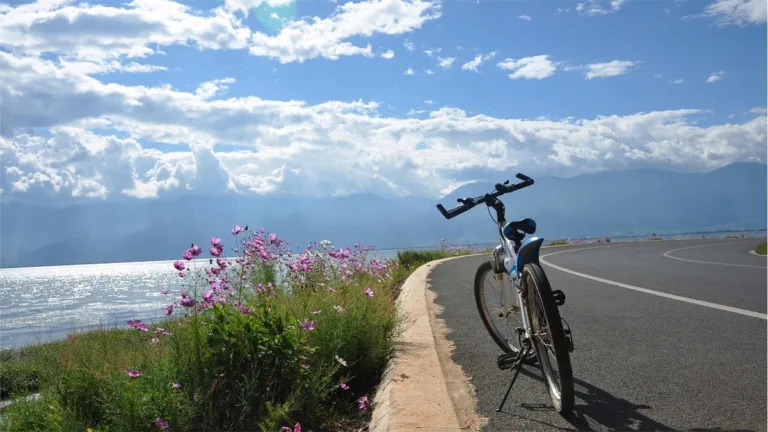 Discover The Charm Of Dali A 3 Day Itinerary