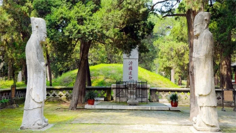 Confuciust Forest Qufu