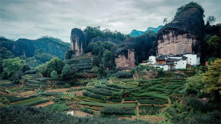 Dahongpao Scenic Area In Mount Wuyi 1