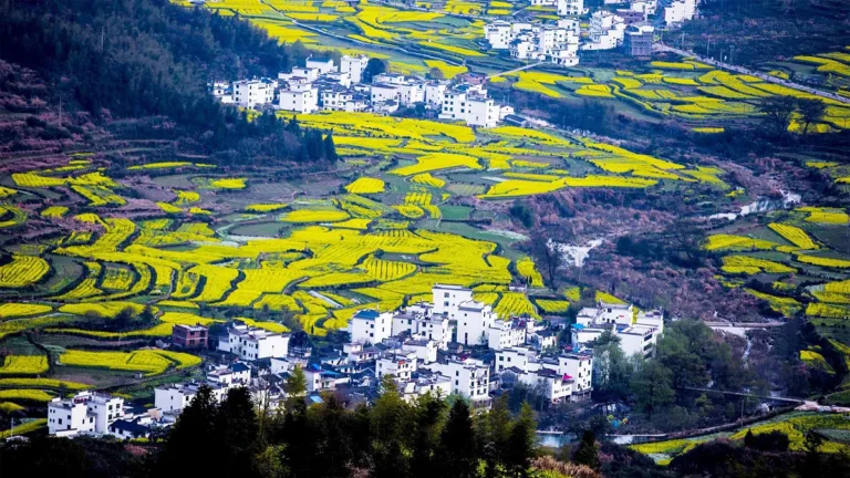 Jiangling Village Wuyuan