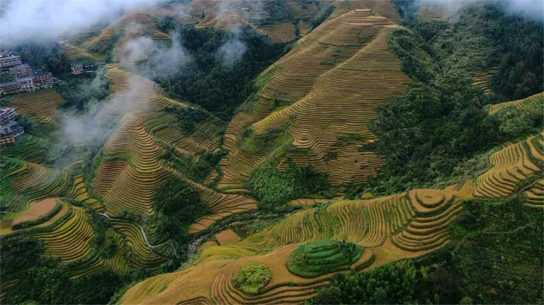 Longji Rice Terraces