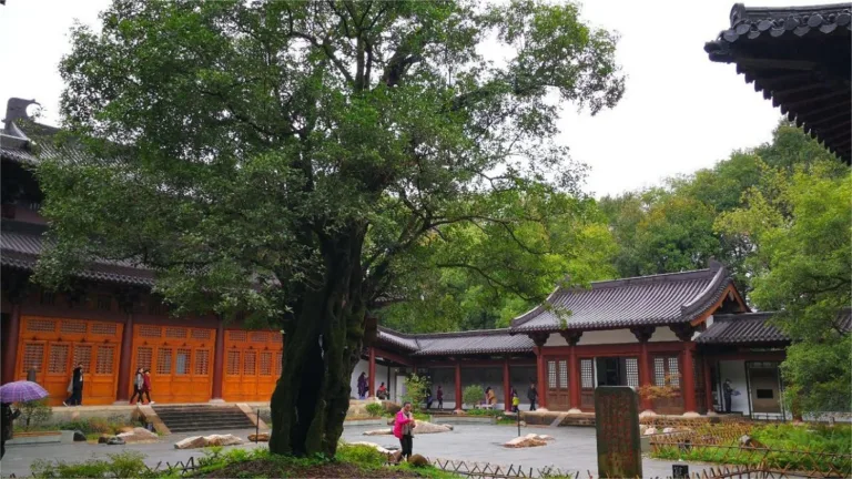 Wuyi Palace In Wuyi Mountain