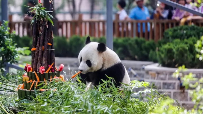 Jinan Zoo Shandong